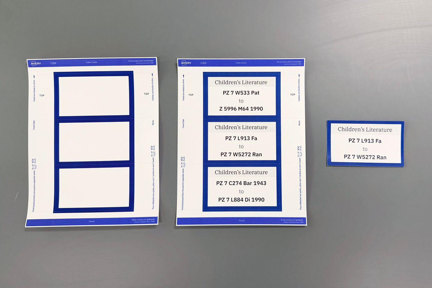 Frame and frame with content printed on an index card template for a Children's Literature collection flag sign